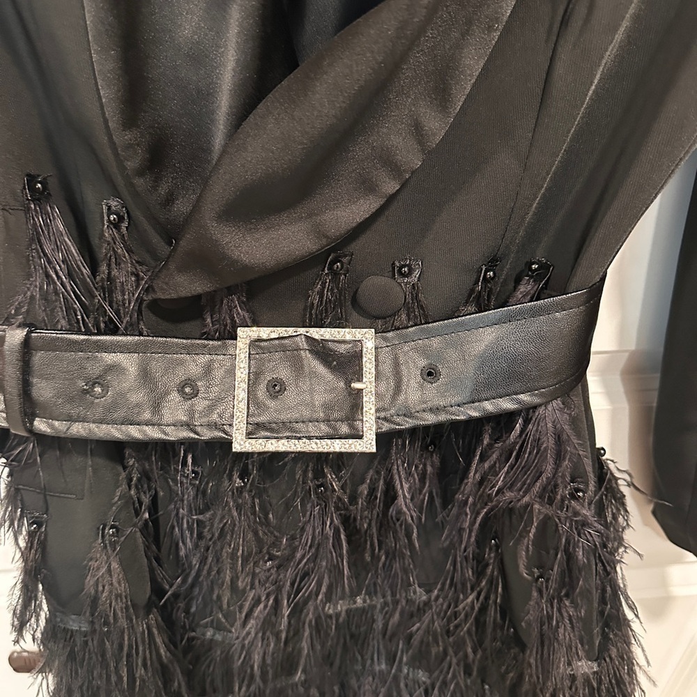 ZCRAVE Fifth Ave Feathers Dress - Picture 9 of 17